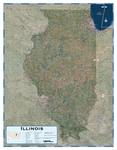 Illinois Satellite Wall Map