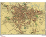 Sao Paulo Antique Wall Map